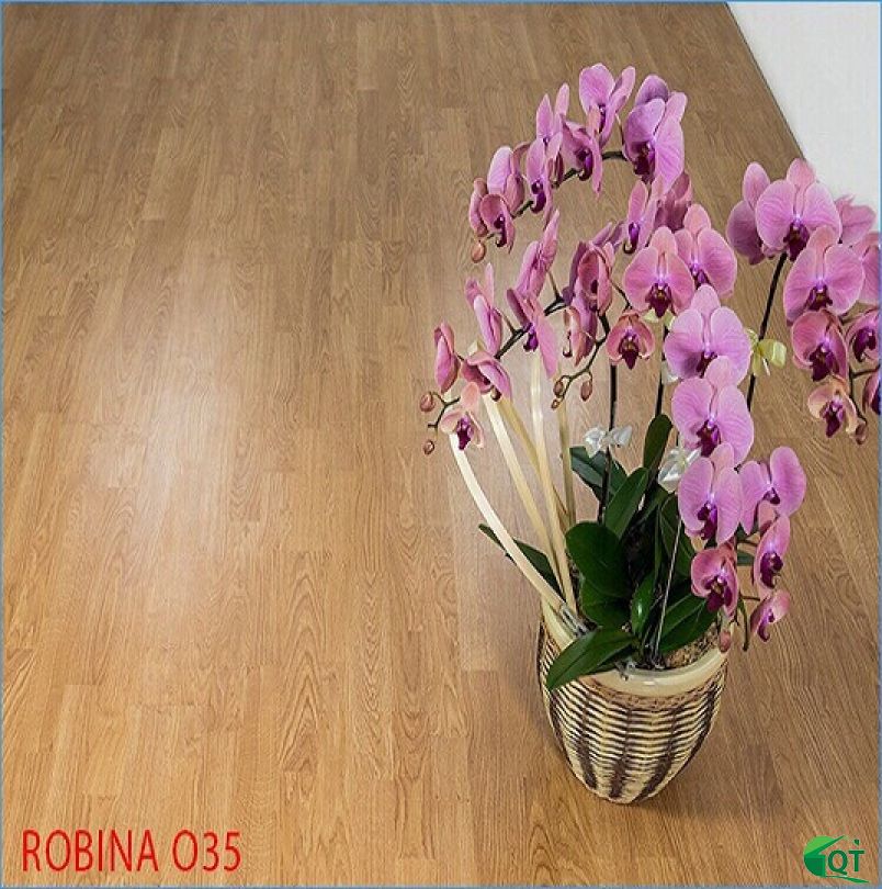 SÀN GỖ ROBINA 035